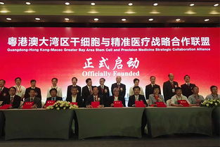 廣州海繹會(huì)議服務(wù) 專業(yè)會(huì)展服務(wù)的卓越之選